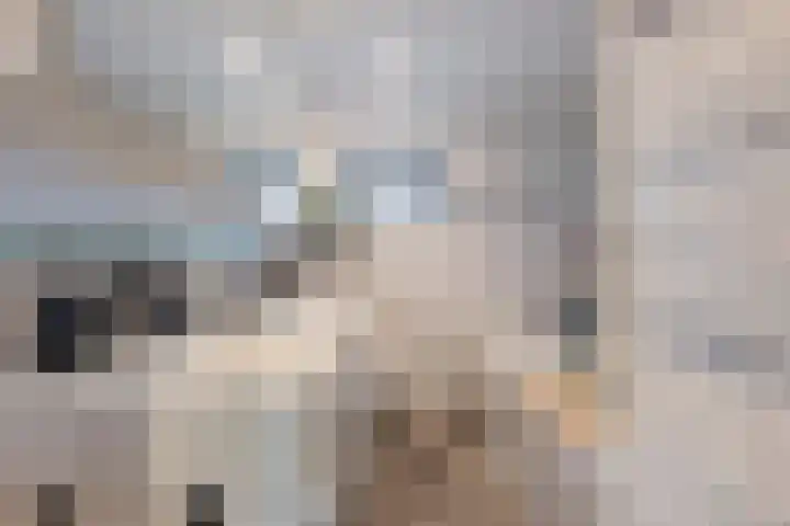Meidoornstraat 9 Deest thumbnail 38