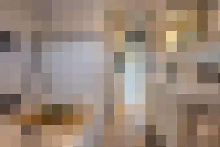 Meidoornstraat 9 Deest thumbnail 39