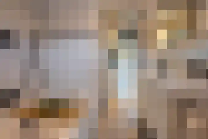 Meidoornstraat 9 Deest thumbnail 4