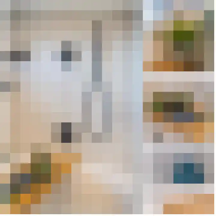 Meidoornstraat 9 Deest thumbnail 40