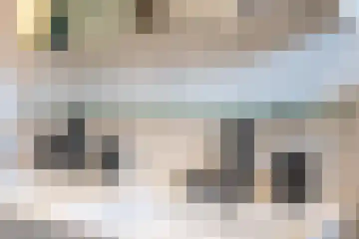 Meidoornstraat 9 Deest thumbnail 41