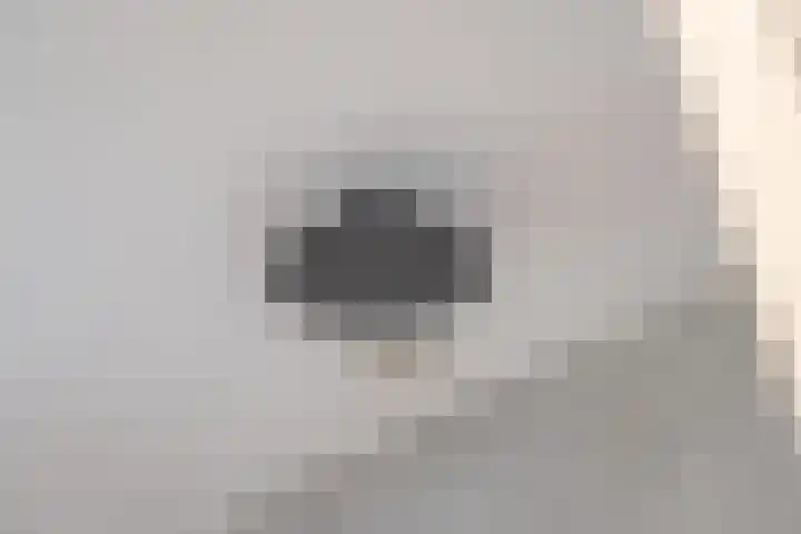 Meidoornstraat 9 Deest thumbnail 42