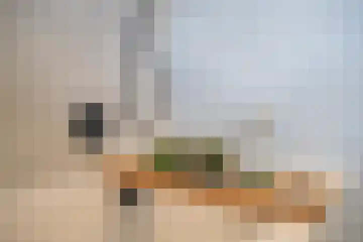 Meidoornstraat 9 Deest thumbnail 43