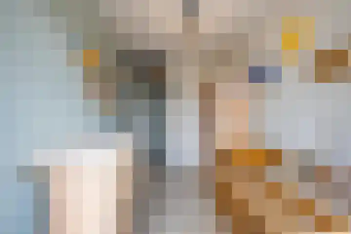 Meidoornstraat 9 Deest thumbnail 44
