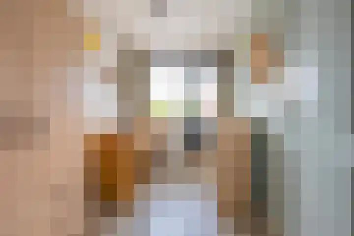 Meidoornstraat 9 Deest thumbnail 45