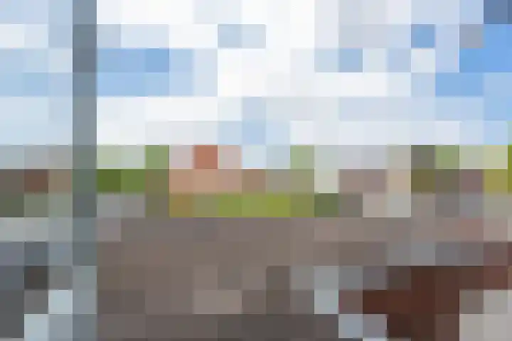 Meidoornstraat 9 Deest thumbnail 46