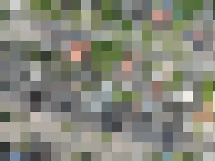 Meidoornstraat 9 Deest thumbnail 48