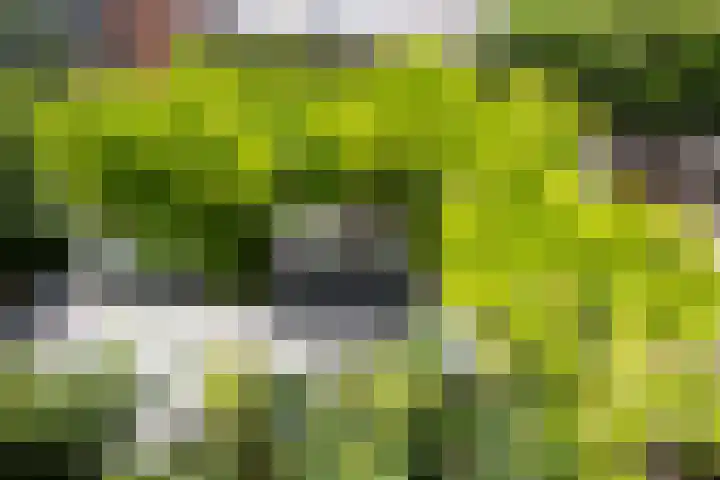 Meidoornstraat 9 Deest thumbnail 49