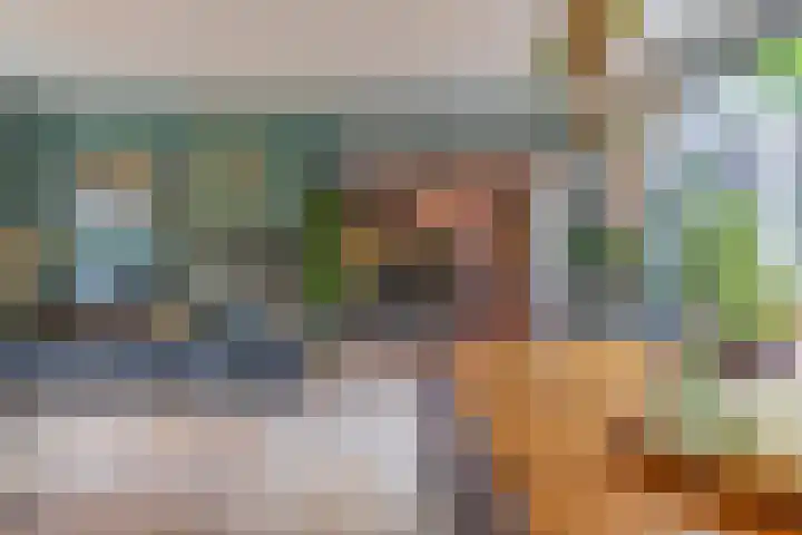 Meidoornstraat 9 Deest thumbnail 5