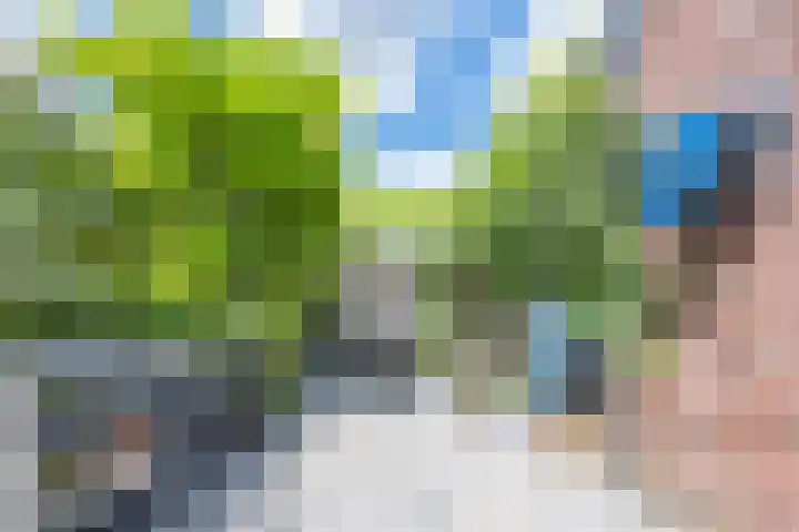 Meidoornstraat 9 Deest thumbnail 50