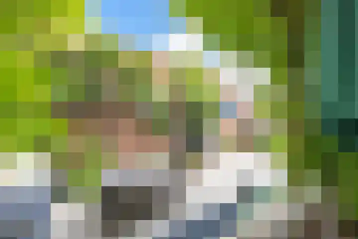 Meidoornstraat 9 Deest thumbnail 53