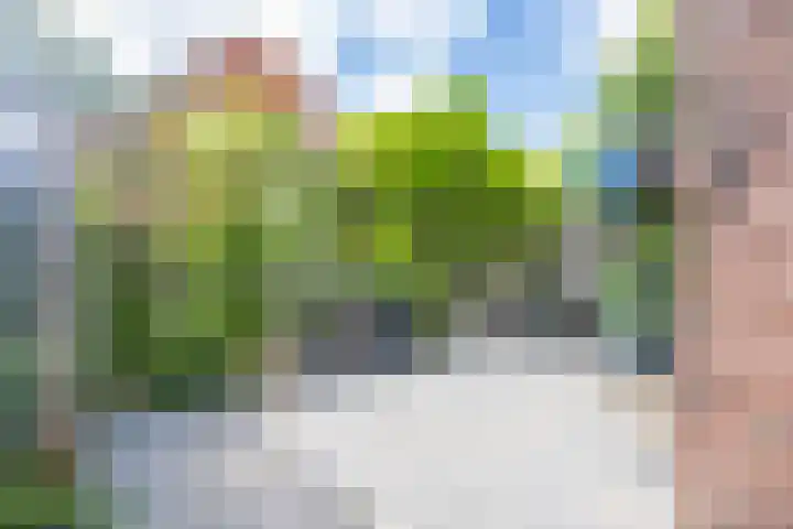 Meidoornstraat 9 Deest thumbnail 54