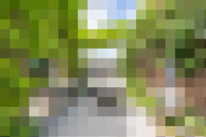 Meidoornstraat 9 Deest thumbnail 55