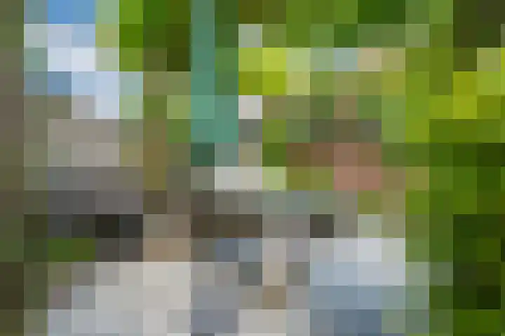 Meidoornstraat 9 Deest thumbnail 56