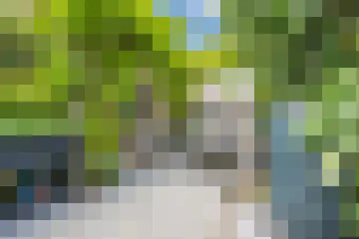 Meidoornstraat 9 Deest thumbnail 58