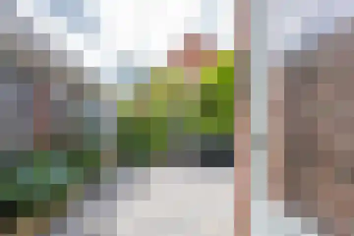 Meidoornstraat 9 Deest thumbnail 59
