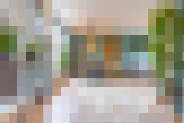 Meidoornstraat 9 Deest thumbnail 6