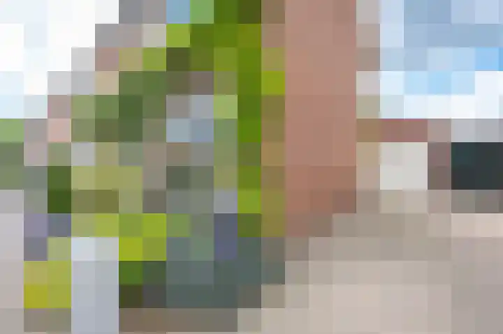 Meidoornstraat 9 Deest thumbnail 60
