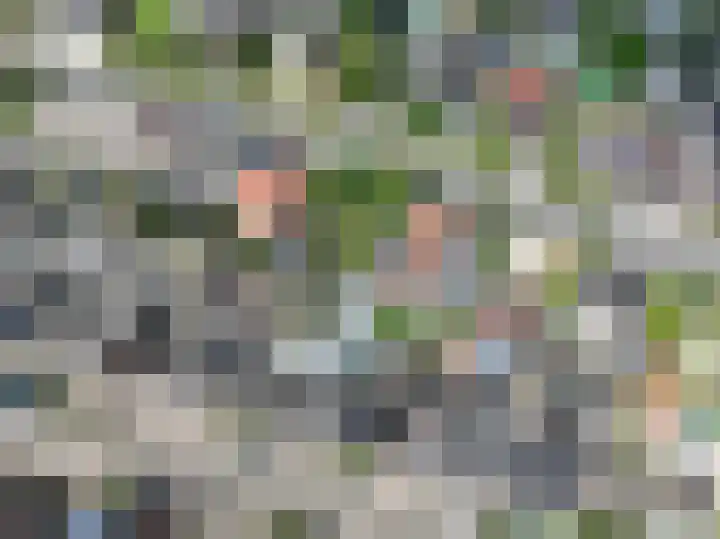 Meidoornstraat 9 Deest thumbnail 65