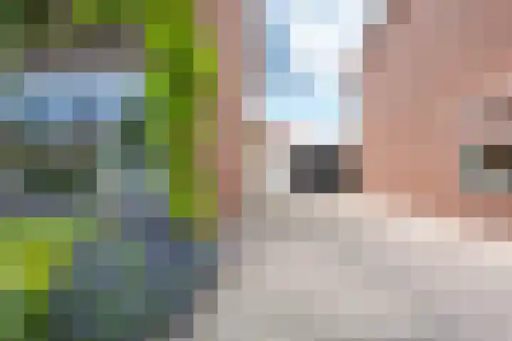 Meidoornstraat 9 Deest thumbnail 66