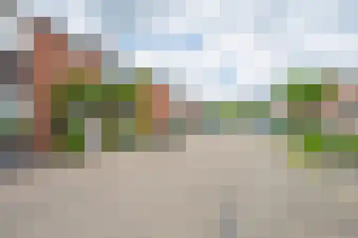 Meidoornstraat 9 Deest thumbnail 67