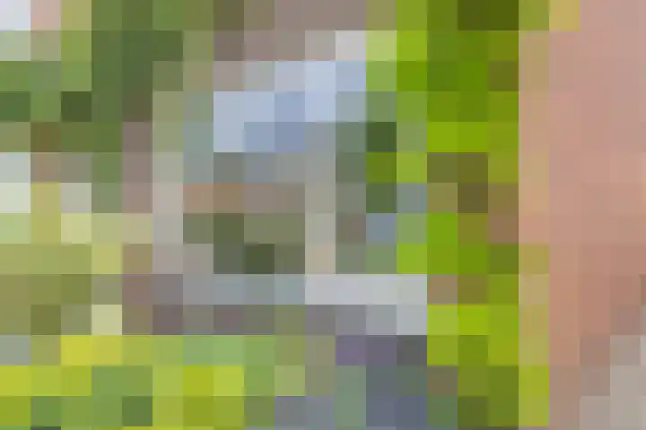 Meidoornstraat 9 Deest thumbnail 68