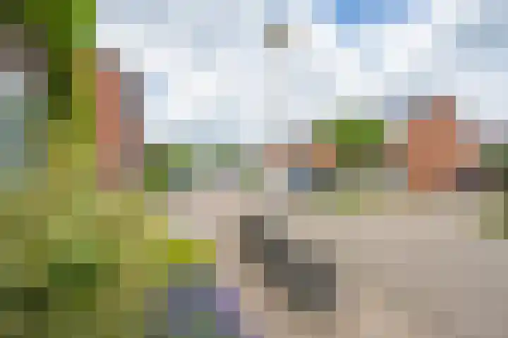 Meidoornstraat 9 Deest thumbnail 69