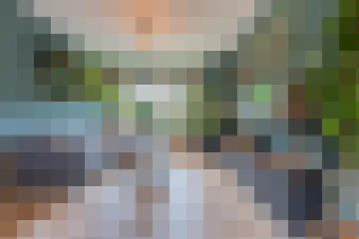 Meidoornstraat 9 Deest thumbnail 7
