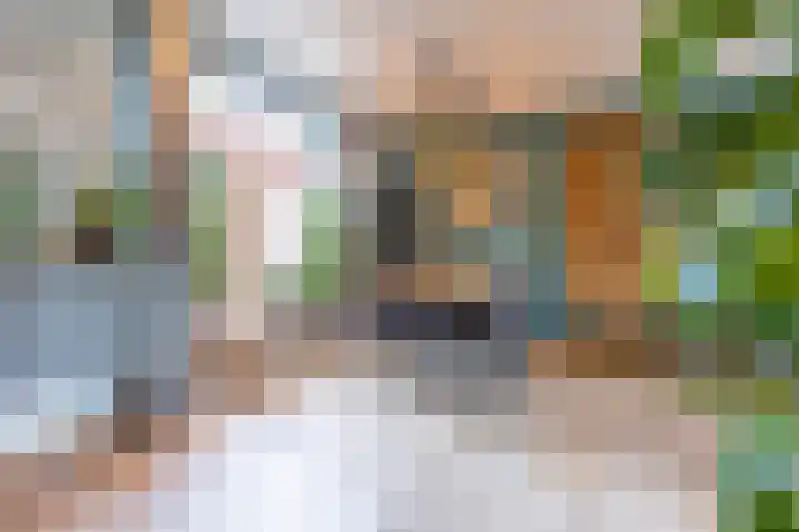 Meidoornstraat 9 Deest thumbnail 8