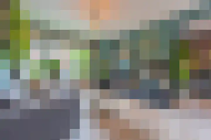 Meidoornstraat 9 Deest thumbnail 9