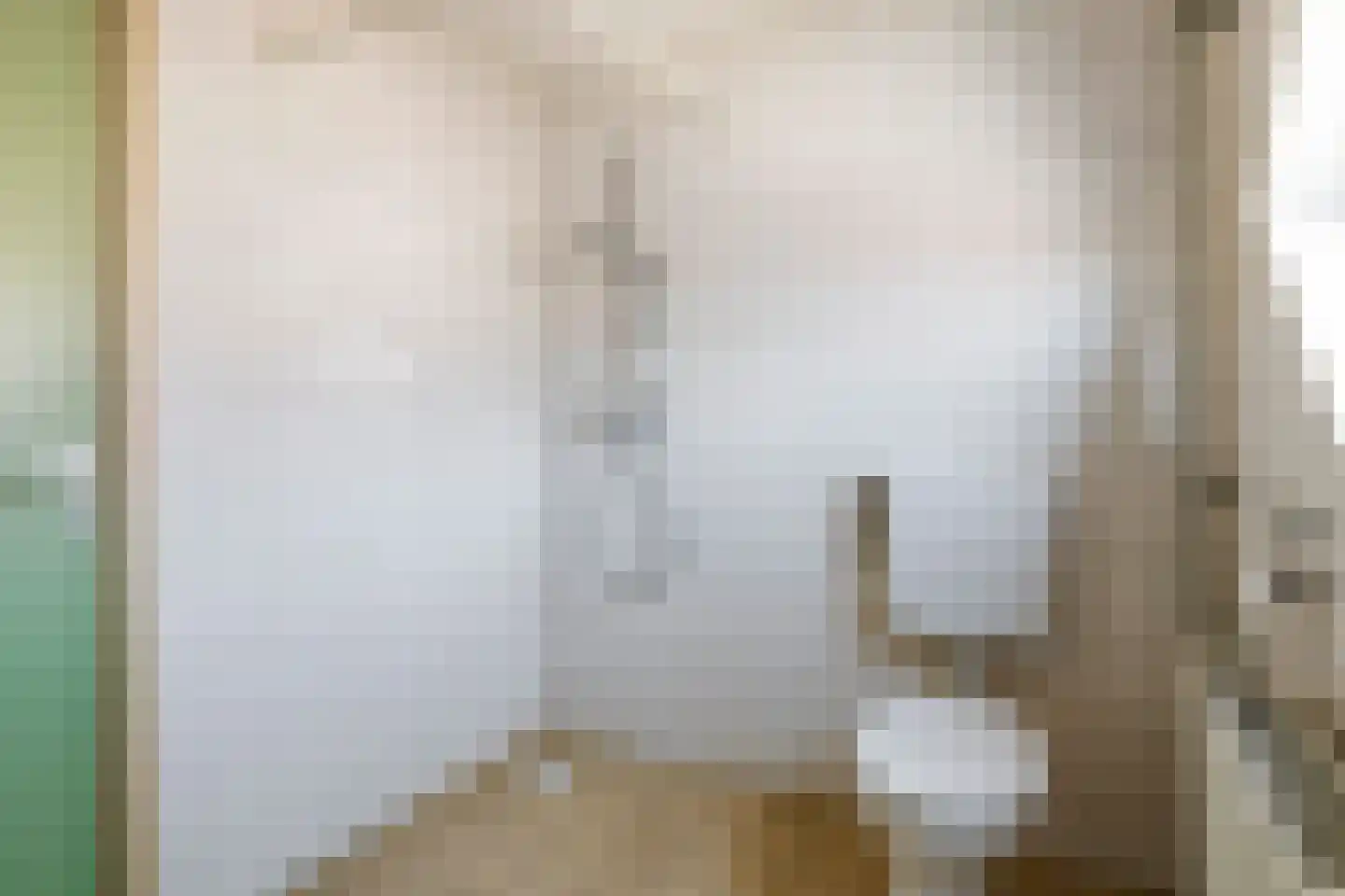 Meidoornstraat 9 Tiel thumbnail 24