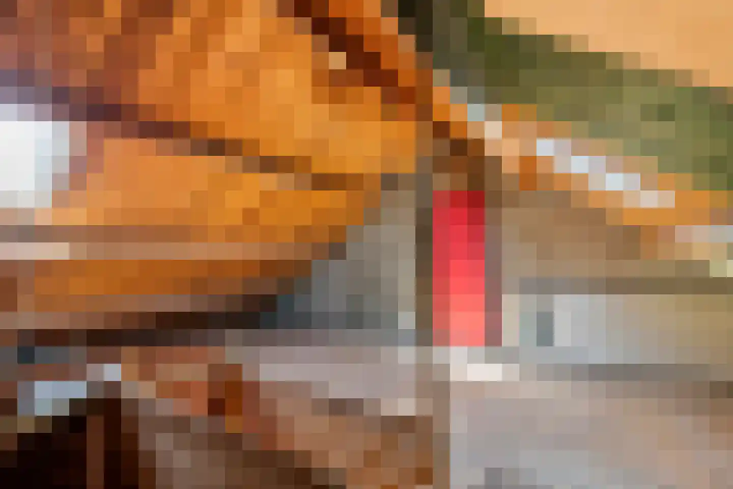 Meidoornstraat 9 Tiel thumbnail 26