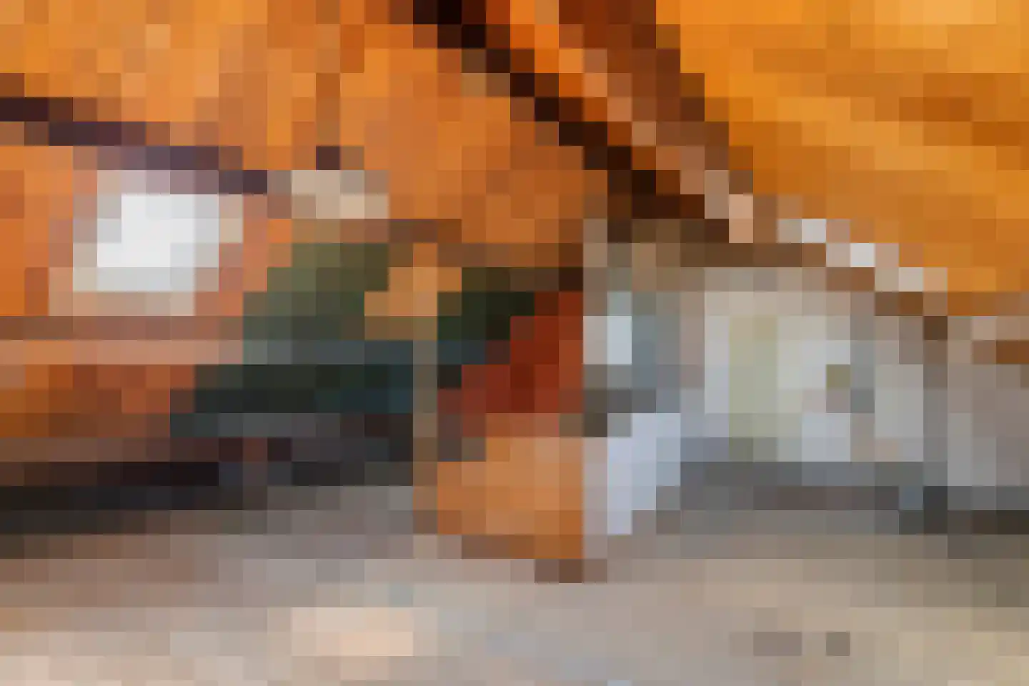 Meidoornstraat 9 Tiel thumbnail 27