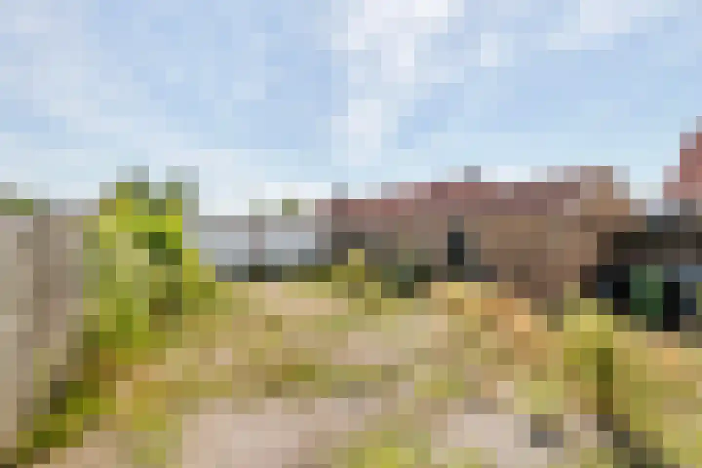 Meidoornstraat 9 Tiel thumbnail 32