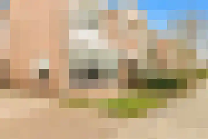 Meidoornstraat 9 Uitgeest thumbnail 34