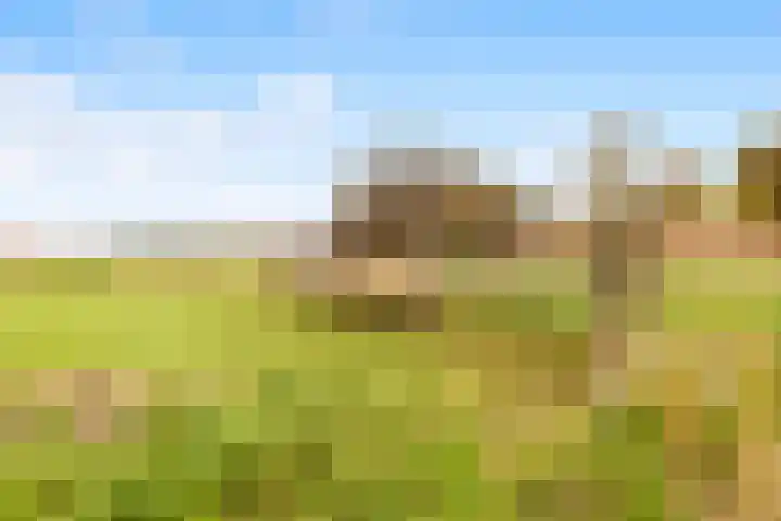 Meidoornstraat 9 Uitgeest thumbnail 35
