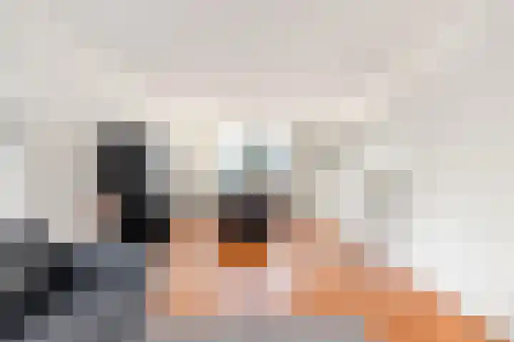 Meidoornstraat 9 Uitgeest thumbnail 6