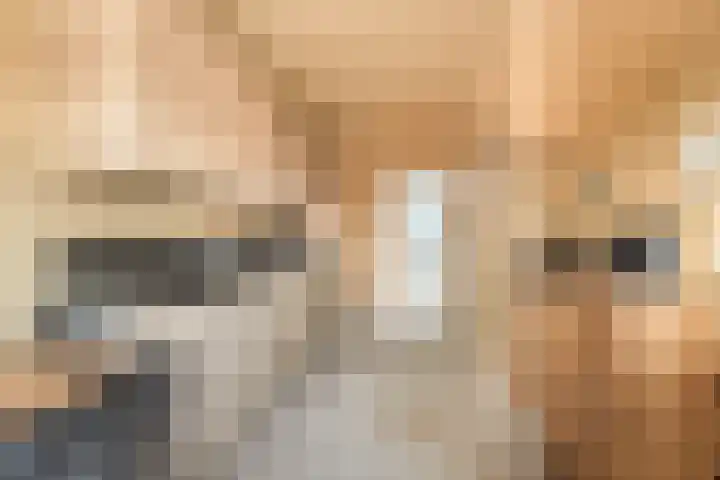 Meidoornstraat 9 Uitgeest thumbnail 8