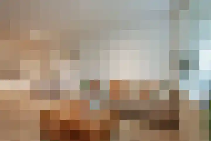 Meidoornweg 100 Badhoevedorp thumbnail 10