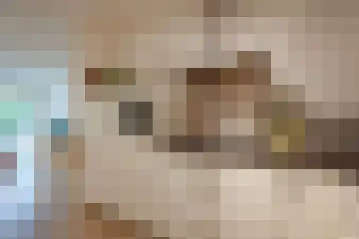 Meidoornweg 100 Badhoevedorp thumbnail 14