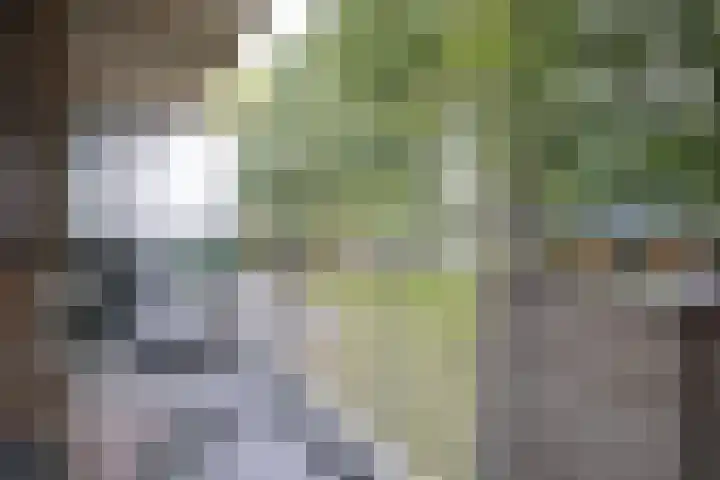Meidoornweg 100 Badhoevedorp thumbnail 15