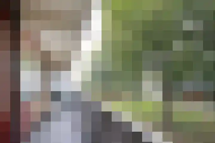 Meidoornweg 100 Badhoevedorp thumbnail 16