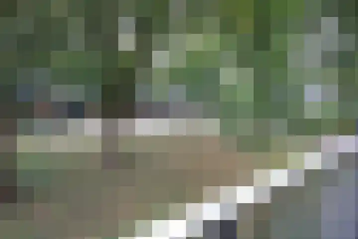 Meidoornweg 100 Badhoevedorp thumbnail 17