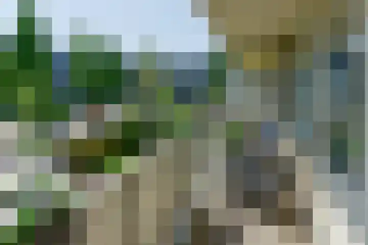 Meidoornweg 106 Badhoevedorp thumbnail 13