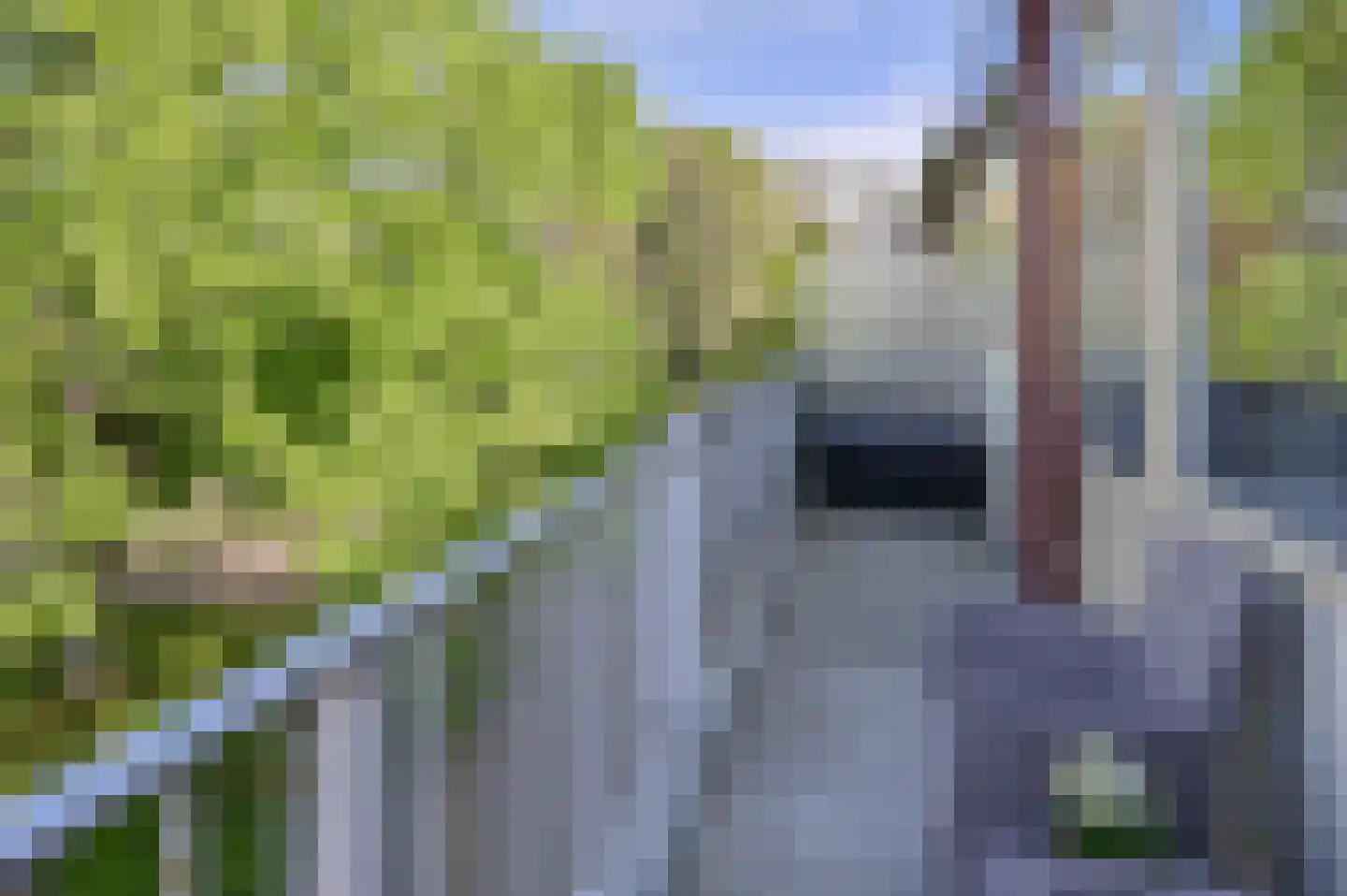 Meidoornweg 120 Badhoevedorp thumbnail 6