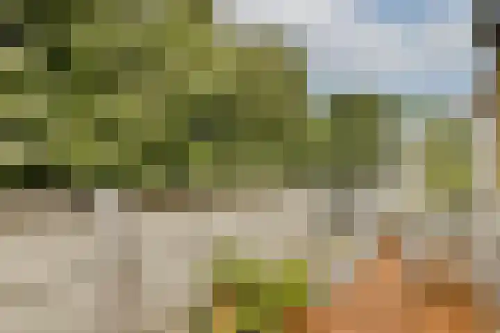 Meidoornweg 122 Badhoevedorp thumbnail 11