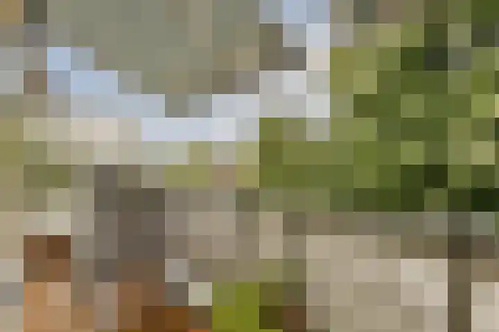 Meidoornweg 122 Badhoevedorp thumbnail 12