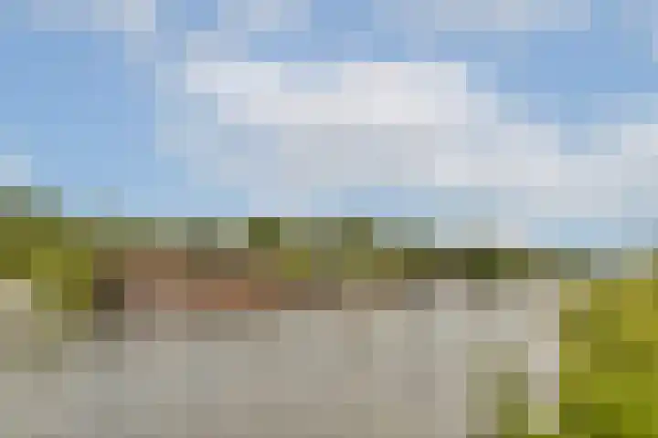 Meidoornweg 122 Badhoevedorp thumbnail 24