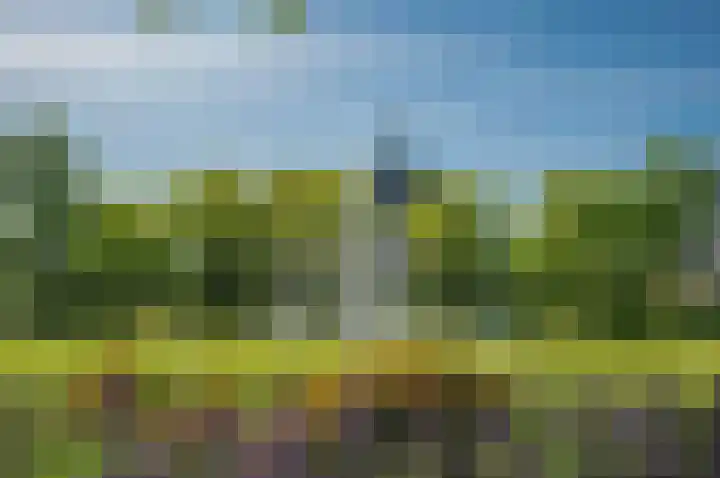 Meidoornweg 122 Badhoevedorp thumbnail 26