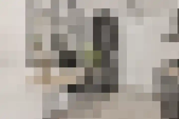 Meidoornweg 122 Badhoevedorp thumbnail 6